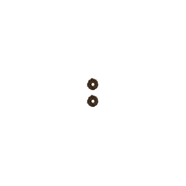 Gasket (set of 2)