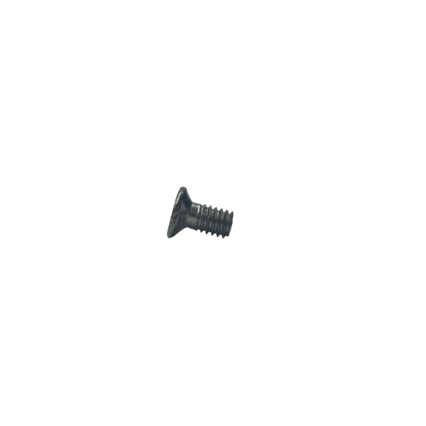 Phillips Screw