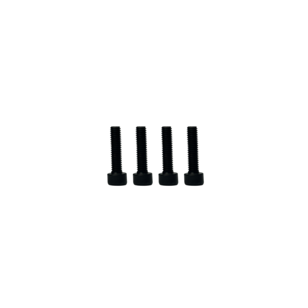 Bolts M5x20 (set of 4)