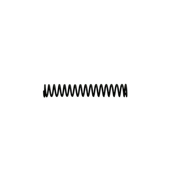Valve Spring