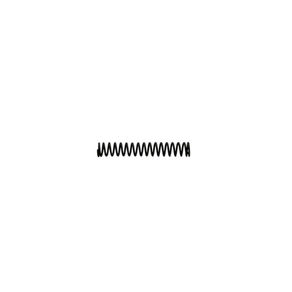 Valve Spring