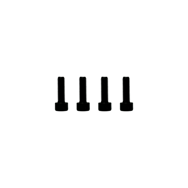 Hex Screws (set of 4)